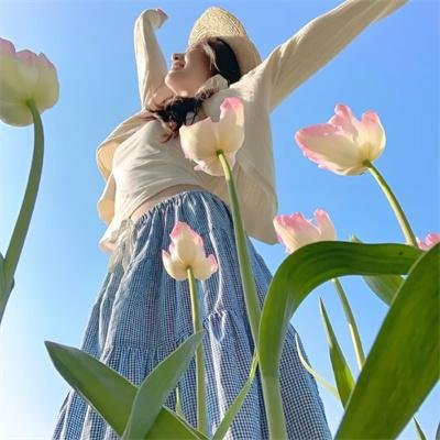 2026热播剧精选第024期